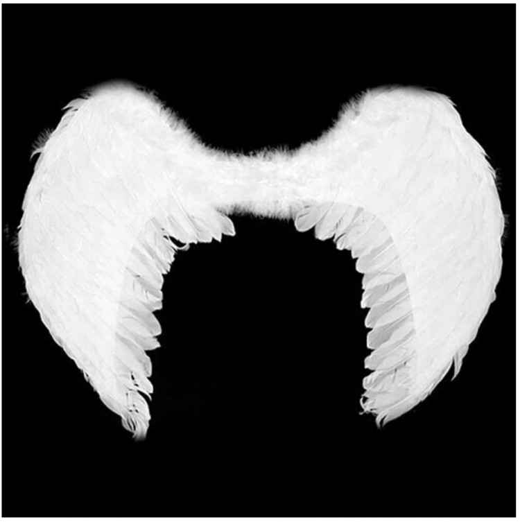 Крылья ангела белые большие
