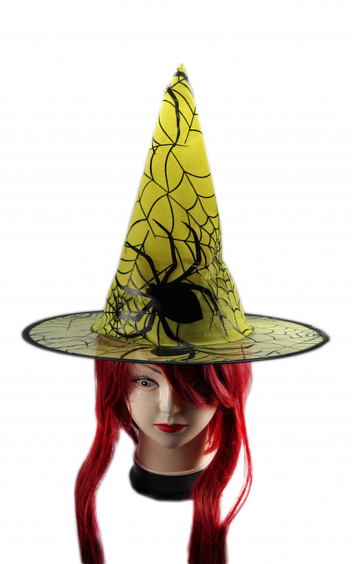 Колпак ведьмы с паутиной