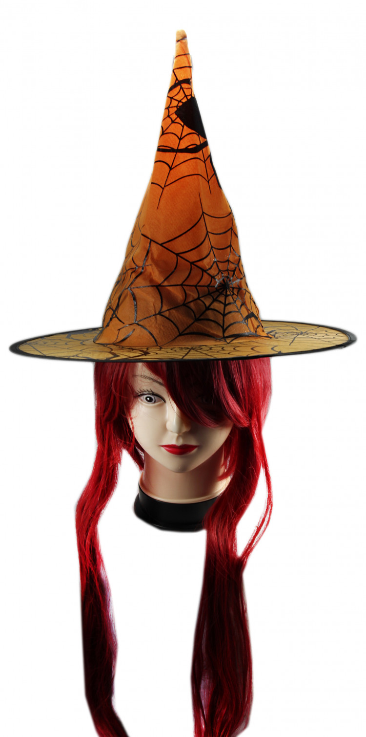 Колпак ведьмы с паутиной