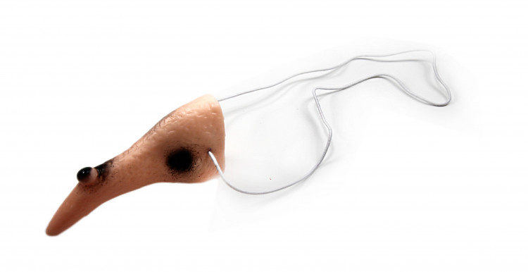 Нос ведьмы - бабы Яги