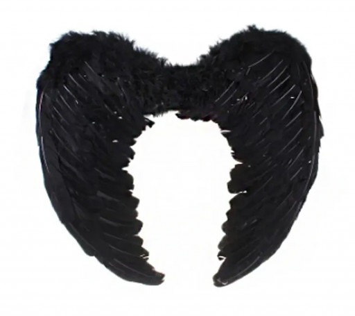 Крылья ангела черные большие