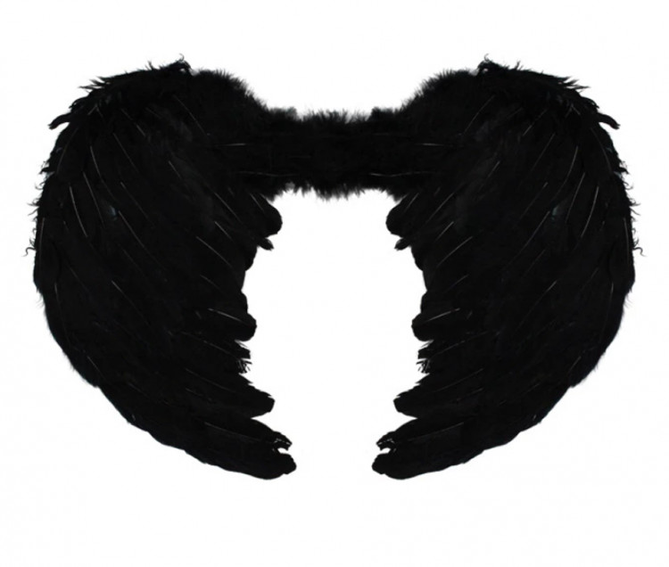 Крылья ангела черные средние